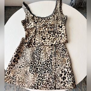 Zara Animal Print Leopard Top Skirt Set